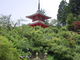 JOEさんの別格本山大聖寺への投稿写真4