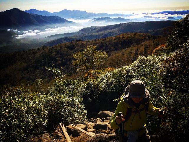 ���[�v�E�F�C������_�C�������܂�����[
�_�C���o�b�N�ɓo�R�̎ʐ^�ł��B_���R�w�_���E���x���[�v�E�F�C