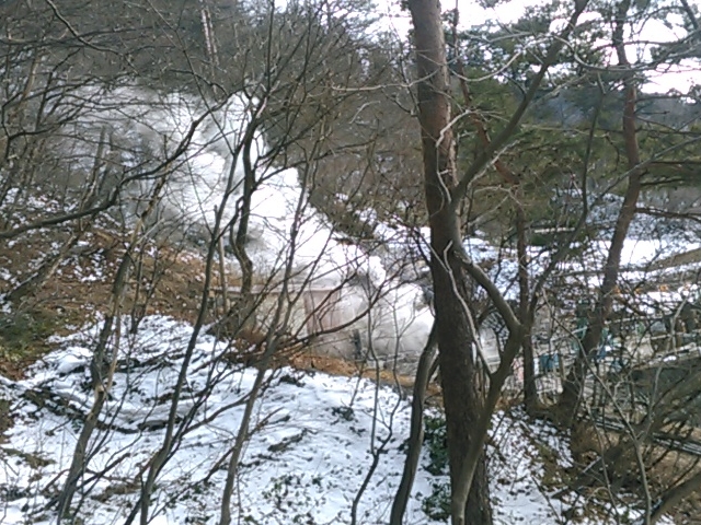 �O�g�_�Ђ֍s���Βi����B�e�B_�q���� ���� ���n������