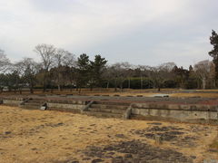 あおしさんの多賀城跡への投稿写真4