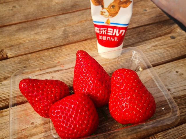 �C�`�S_�t���[�c�K�[�f���䂤