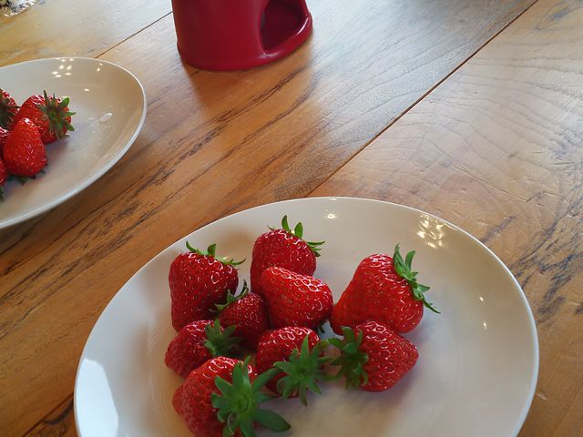 JbvɂƂ邾ƂMɏoʂł_ό_߂̂