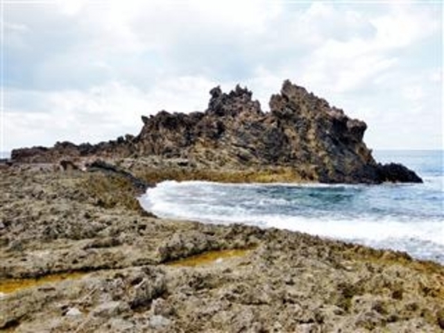 ���������������Ɍ�����u�~�[�t�K�[�̍��C�݂̊�R�v(�v�ē�)_�~�[�t�K�[