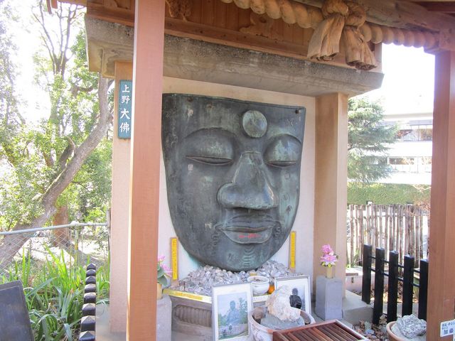 �炾���̒������啧�ł�_���啧