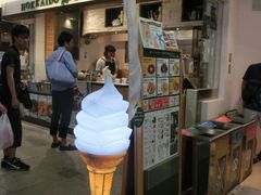 ���Ă�΂܂܂���̖k�C���X�[�v�X�^���h�ւ̓��e�ʐ^1