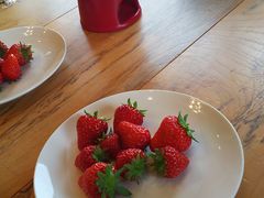 ɂȂ̊ό_߂̂ւ̓eʐ^1