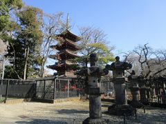 塔に歴史あり 旧寛永寺五重塔の口コミ じゃらんnet