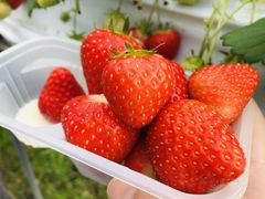 ȂȂ܂߂NaraP-MADE in NARA 1991-ւ̓eʐ^1