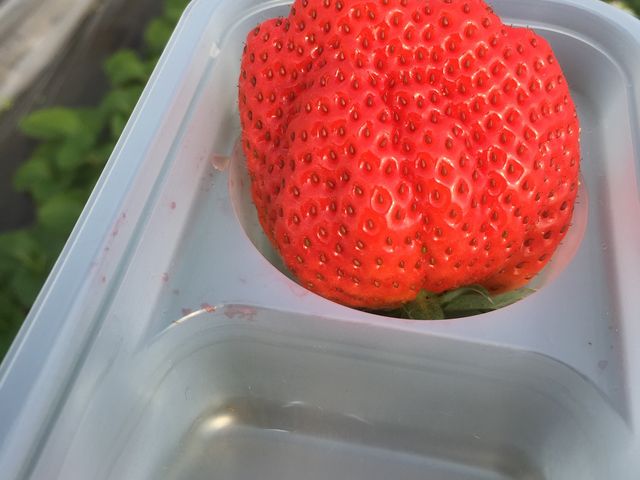 mooñXgx[nEXĂ̓eʐ^1