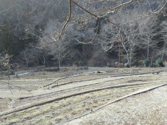 �Ԃ��傤�ԉ�