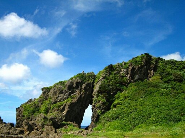 �~�[�t�K�[