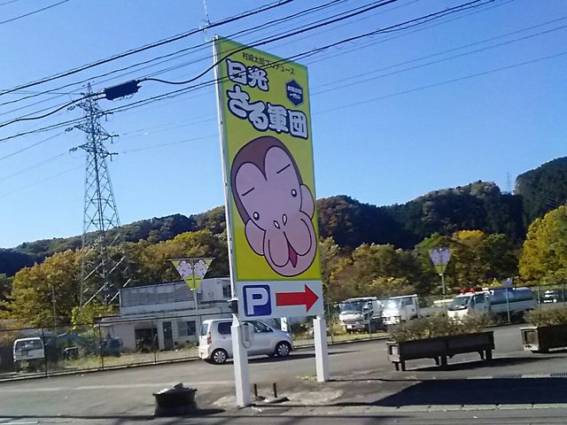 ���ԏ�̓����_�����郉���h���A�j�^�E��