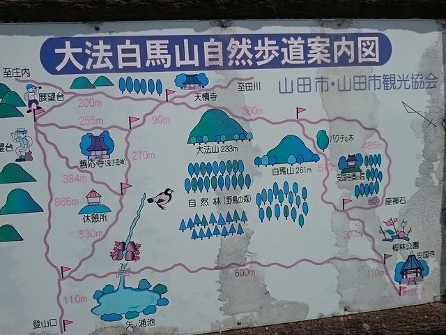 񂿂񂳂̑@nRRV̓eʐ^1