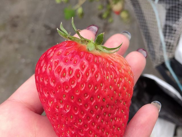 �嗱䕂ł����B_�R���������_��