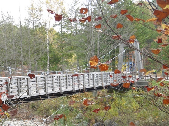 �͗t_�ԑ򎩑R�x�{��