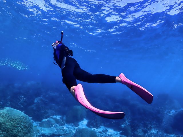 �{�Ãu���[�I_SUN SEA �������