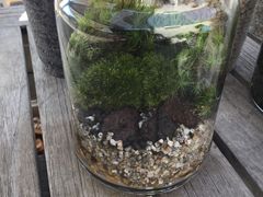 ܂̃t@~[K[fzt(ztAjւ̓eʐ^1