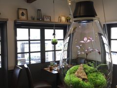 ܂̃t@~[K[fzt(ztAjւ̓eʐ^3