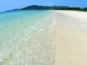 ܂邳̃C[tr[`̓eʐ^1