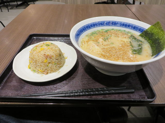 ؍[Zbg_啪ԓRcT[rXGAXg