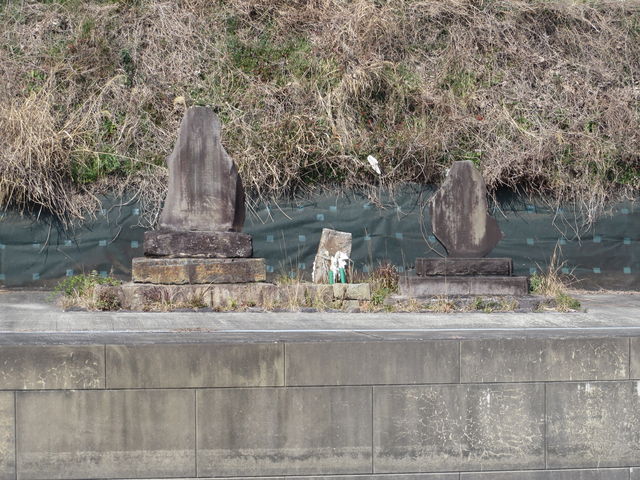 Ԃ񂳂̐VJĂL̓eʐ^2