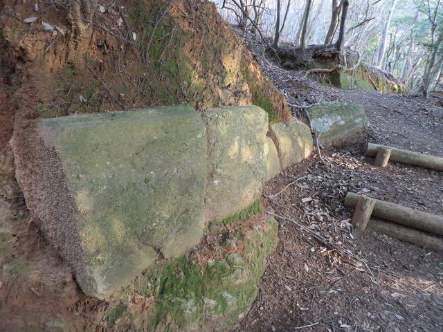 Ԃ񂳂̏R_Đ΂̓eʐ^2