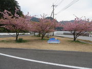 Ԃ񂳂̎lY͒Í̓eʐ^2