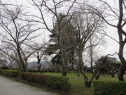 Ԃ񂳂̉PnՁiPnj̓eʐ^1