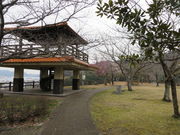 �Ԃ���񂳂�̑�F�����̓��e�ʐ^1