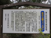 Ԃ񂳂̉Wڂ̃EoJV̓eʐ^1