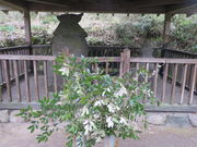 �Ԃ���񂳂�̌ܗ֓��̓��e�ʐ^1