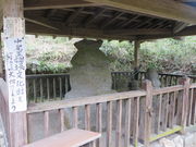 �Ԃ���񂳂�̌ܗ֓��̓��e�ʐ^3