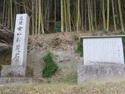 Ԃ񂳂̏R_Đ΂̓eʐ^1