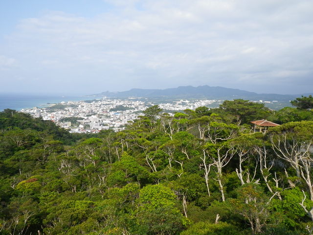 �V��W�]�䂩�琼���A���a�x�A�ÒÉF�x��]��_�r�W�^�[�Z���^�[�@�iSbaco)