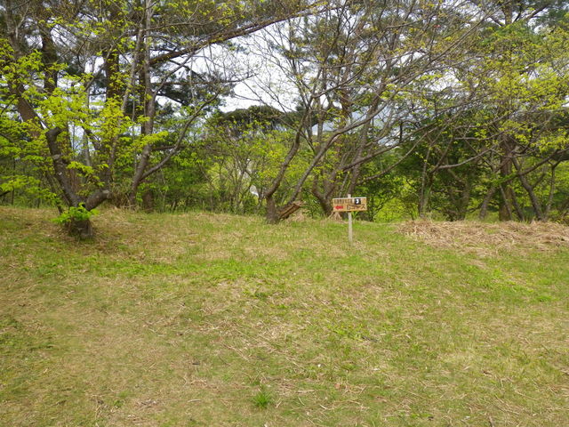 �ѓ��e�ɂ̓n�C�L���O�R�[�X������_�r�W�^�[�Z���^�[�@�iSbaco)