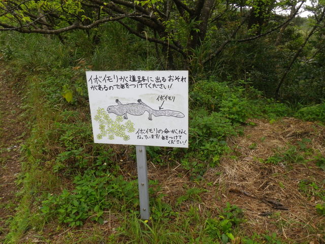 �C�{�C����������炵��_�r�W�^�[�Z���^�[�@�iSbaco)