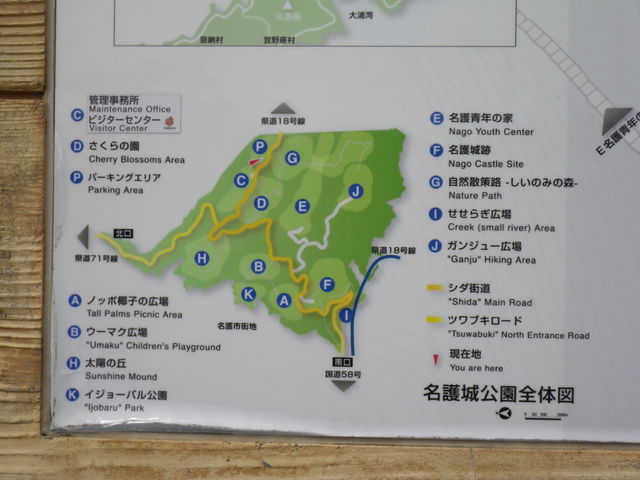 �����S�̐}_�r�W�^�[�Z���^�[�@�iSbaco)