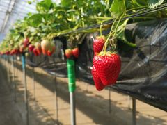 tttt̃hSt@[ւ̓eʐ^1