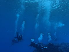 Ⴓ̃I[Vr[`Ⴝւ̓eʐ^1