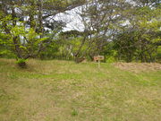 ỸrW^[Z^[@iSbaco)̓eʐ^2