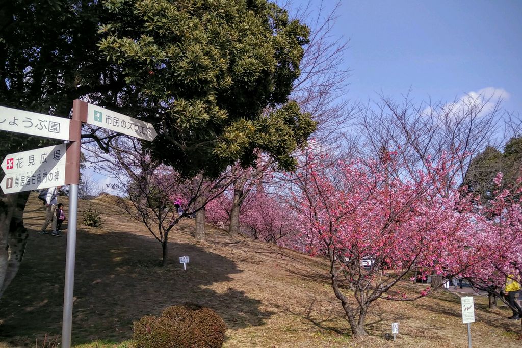 赤塚山公園 【愛知県】