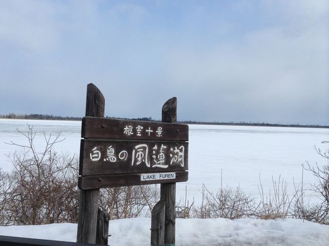 �O��_���@��