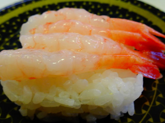 ǁ[̂͂܎izJX̓eʐ^1