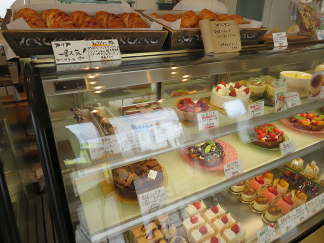 V[P[X̏̃pC_peBX[Aria