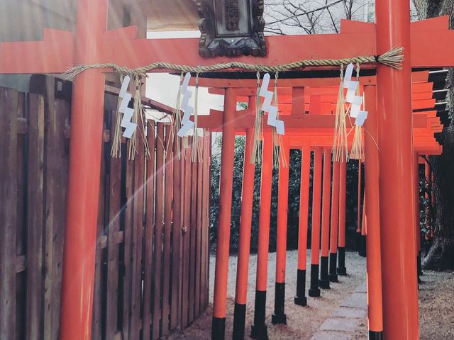 光が当たり神秘的でした!
行って良かったです★_堀越神社