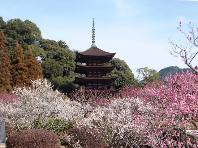 香山公園 うめ アクセス 営業時間 料金情報 じゃらんnet