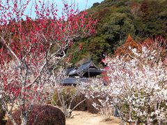 香山公園 うめ アクセス 営業時間 料金情報 じゃらんnet