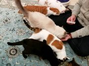 ₳̃lRJtF~Eh̓eʐ^3