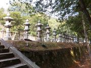 ���ڂ炳��̔��ˎ�ї��ƕ揊�m���R�揊�n�̓��e�ʐ^1