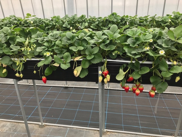 �ǂ�����ׂ邩�Y�݂܂��I���I_���[��������